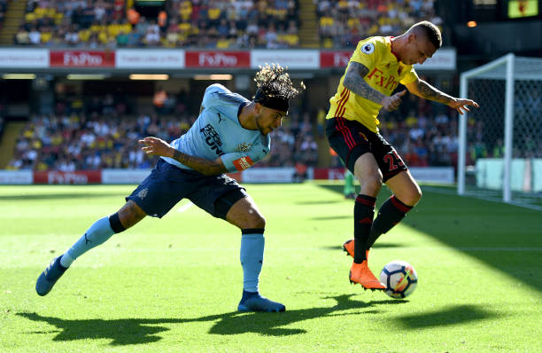 以其顽强的 以其顽强的